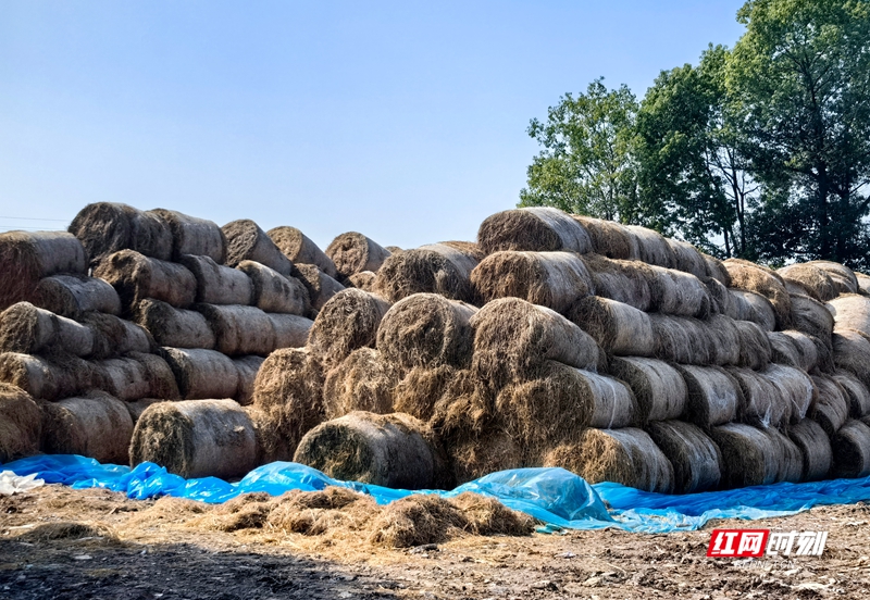 微信图片_20251117141947_392_480.jpg 微信图片_20251117141947_392_480.jpg