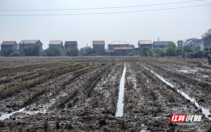 微信图片_20251117142432_394_480.jpg 微信图片_20251117142432_394_480.jpg