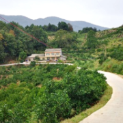 路通民心畅 振兴启新程——石门县天鹅山村的蝶变之路