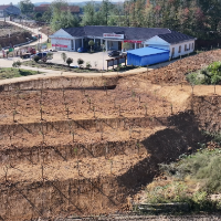 临澧停弦渡镇:荒地生“金” 香水柚种出庭院好“钱”景