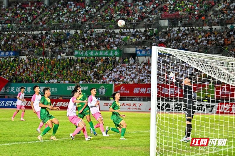 微信图片_2025-11-05_170325_137.jpg 微信图片_2025-11-05_170325_137.jpg