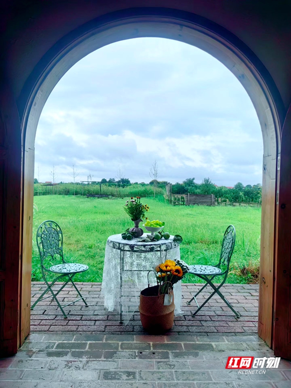 禾火田咖啡农场.jpg 禾火田咖啡农场.jpg