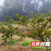 家门口的“小美好”！桃源县马鬃岭镇民生实事“交卷时”