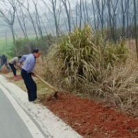 桃源县热市镇:全域整治再发力 向美而行绘新篇