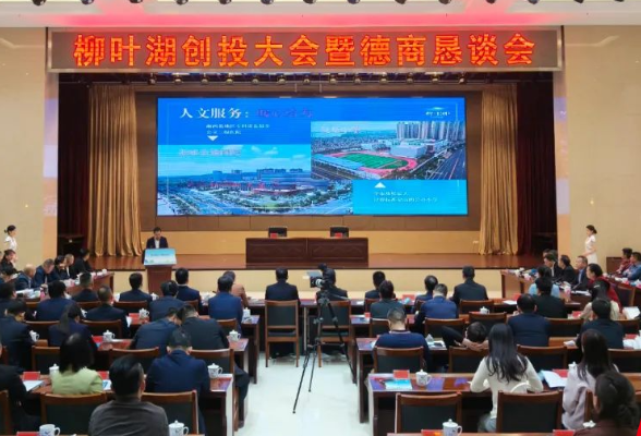 聚势赋能 共启新篇！柳叶湖举办创投大会暨德商恳谈会