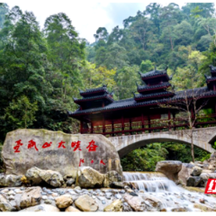 6月16日相约石门！六大玩法解锁“清爽一夏”新体验