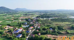临澧县四新岗镇久丰村：文明新风绘就幸福新图景
