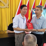 澧县码头铺镇：党旗飘扬映初心 乡村振兴践使命
