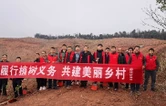 桃源三阳港镇：种下“致富苗” 添绿“希望山”
