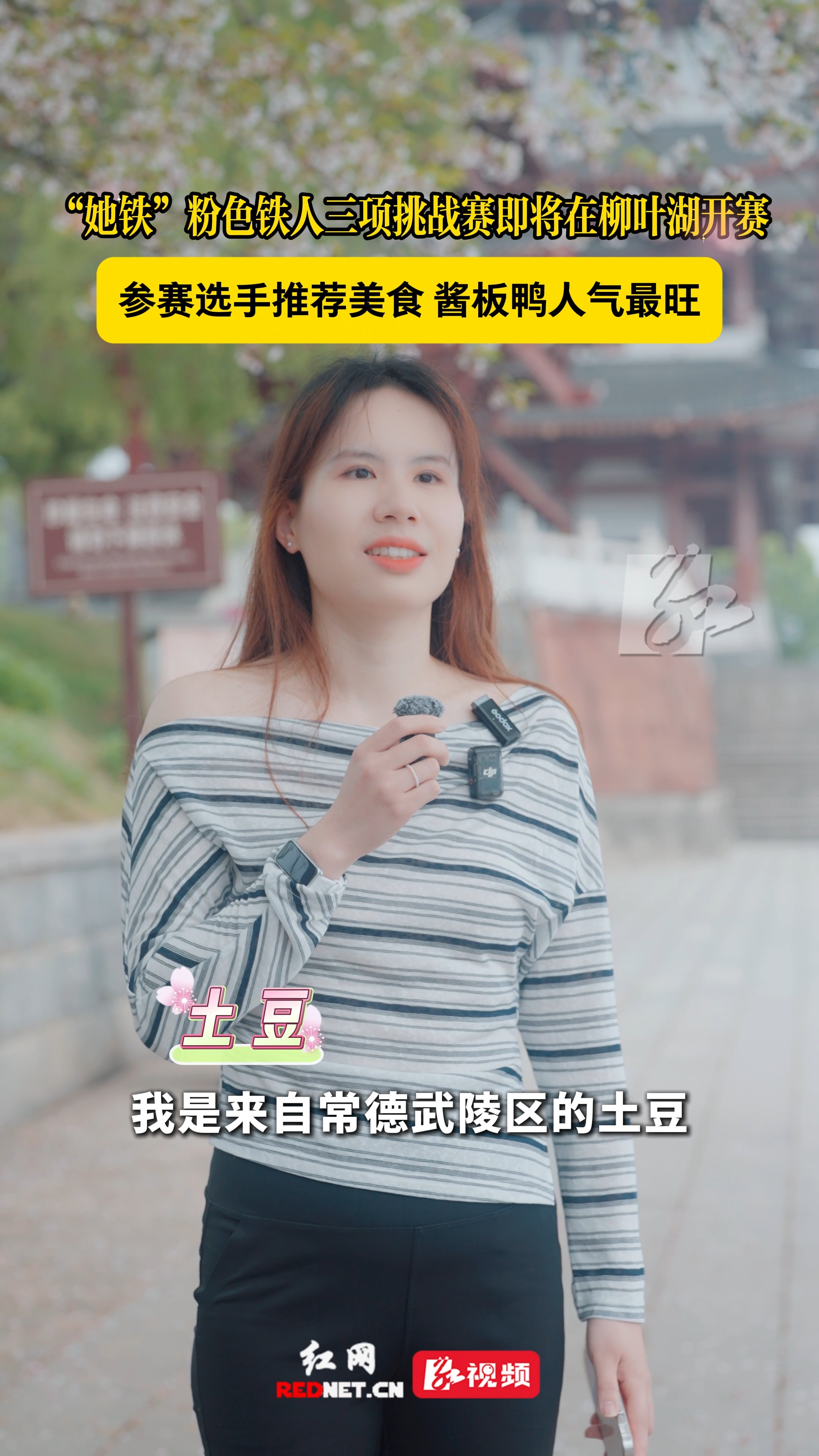 粉色力量燃情柳叶湖！