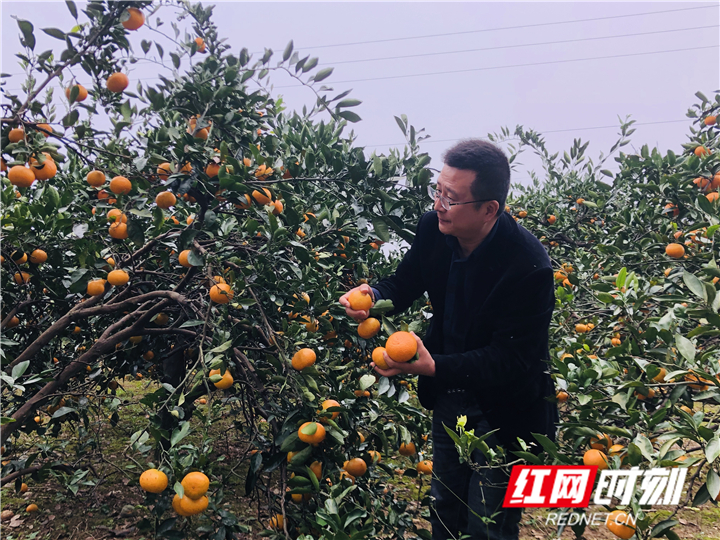 微信图片_20201103121837_副本.jpg