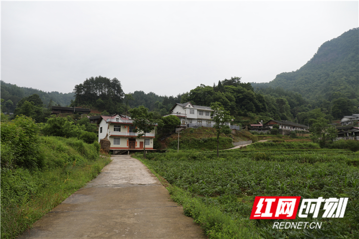 图一：村里大变样，公路通到家门口，_副本.jpg
