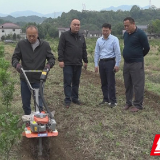 国家农业农村部专家组调研慈利县丘陵山区田土宜机化改造工作