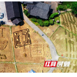 张家界黄龙洞景区员工的花式表白：用稻草在田野里拼出“我爱您中国！”