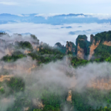 【小红人逛张家界】“重启”后导游周建鑫上岗，听他讲张家界旅游故事