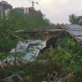 违建“零容忍” 拆违“不手软”——永定区大庸桥街道办事处组织一拆违行动