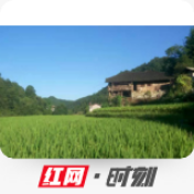 张家界市4件国土空间规划优秀案例获奖