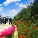 守护公路“颜值” 桑植有一套“组合拳”