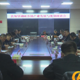 慈利县领导调研乡镇产业发展与规划