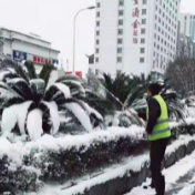 【绿色张家界】张家界市园林绿化服务中心积极应对低温冰雪冷冻天气