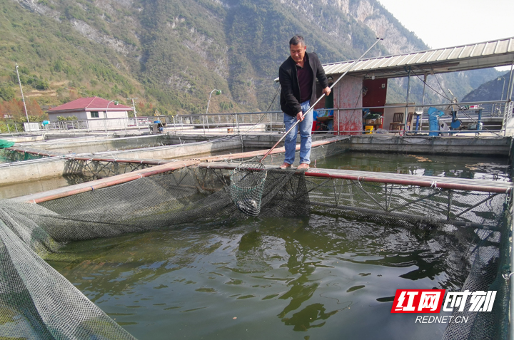 张家界市桑植县：上岸渔民伍孝毛的幸福生活