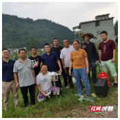 桑植县双泉村：干群齐心觅“飞机”，只为……
