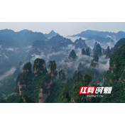 武陵源十里画廊：夏日云雾缭绕宛如仙境（组图）