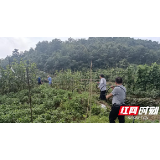 为民办实事|永定区疾控中心解决麻风病康复中心饮用水难题
