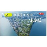 慈利县零阳镇永安村——请您放心，抗“疫”有我