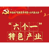 上新！ 20个名词解释帮你读懂党代会报告