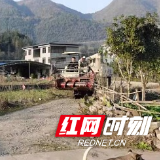 控违治违|桑植县桥自弯镇：依法拆除违法建筑 坚决遏制违建乱象