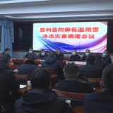 张家界市防御低温雨雪冰冻灾害天气视频会商调度会暨全县防御低温雨雪冰冻灾害调度会议召开