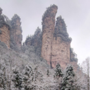 新春游张家界丨武陵源雪景（二）：瑞雪妆山景