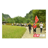 张家界，稻香回归的脚步——区县耕地保护在行动