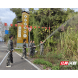 永定区茅岩河镇：一辆消防车灭一场火 演练筑牢森林防火线