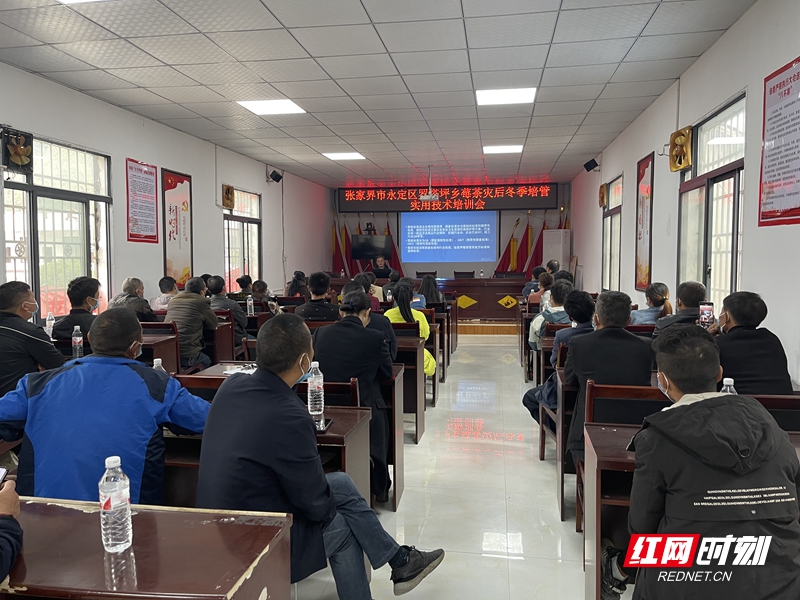微信图片_20221110170127.jpg