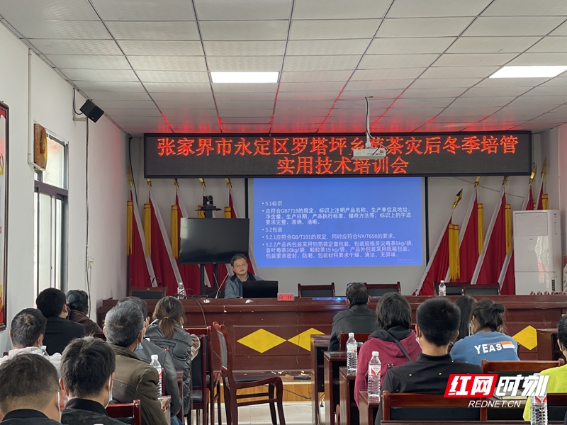 微信图片_20221110170133.jpg
