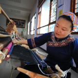 小荷已露尖尖角|张甜甜：织出锦绣向未来