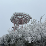 美，张家界雪景“上新”了！