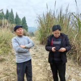 永定区茅岩河镇：“两违”app让巡查更高效   做到露头就打出土就拆