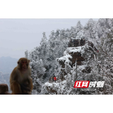 张家界景区：冰雪旅游引客来（组图）