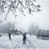 新春游张家界|张家界天子山景区迎来虎年首雪 游客赏雪兴致高