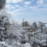 张家界武陵源：天子山上雪如画