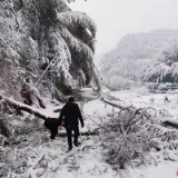慈利县许家坊土家族乡：春风行动 不惧冰雪
