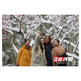 张家界景区黄石寨：踏雪寻梅觅春色（组图）