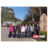 株洲市委台办来张家界国家森林公园调研对台交流基地建设