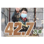 虎年春耕图︱不负春光好时景 播下田野新希望
