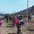 特色产业有活力 乡民致富冲劲足——慈利县杨柳铺社区干群热议全国两会精神