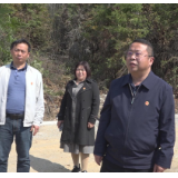 慈利县人大常委会组织开展人大代表小组活动