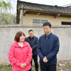 王洪斌深入桑植县调研农村人居环境整治、产业发展、学校教育等工作